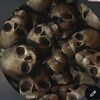 thriftskulls